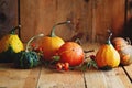 Arrangement of decorative pumpkins Royalty Free Stock Photo