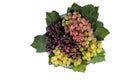 Arrangement of different grape varieties Royalty Free Stock Photo