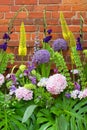 Colorful wild flowers over red brick wall, different blossoms, wedding decoration, postcard Royalty Free Stock Photo