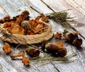 Arrangement of Dried Mushrooms