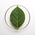 Arrangement emphasizes simplicity and elegance, with a focus on nature- Royalty Free Stock Photo