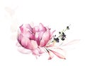 Arrangement with ethereal pink peony flower, branches, leaves. Watercolor painted floral bouquet.