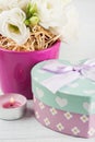 Arrangement of eustoma flowers in pot, pastel gift box Royalty Free Stock Photo