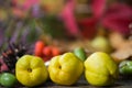 Arrangement with fall fruits Royalty Free Stock Photo