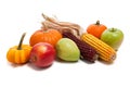 Arrangement of fall fruits and vegetables Royalty Free Stock Photo