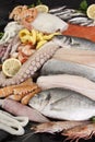 Arrangement of fish and seafood