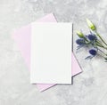 An arrangement of flowers and paper cards on gray background Royalty Free Stock Photo