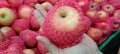 Arrangement of fresh fruits at the traditional market Royalty Free Stock Photo