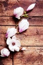 Arrangement of fresh pink magnolias on wood Royalty Free Stock Photo