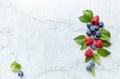 An Arrangement of fresh raspberries, blueberries and mint leaves on gray marble background. Royalty Free Stock Photo