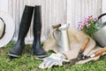 arrangement gardening gumboots supplies. High quality photo