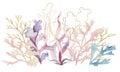 Arrangement made from Watercolor and golden seaweeds and corals, beach wedding Illustration