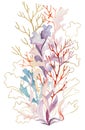Arrangement made from Watercolor and golden seaweeds and corals, beach wedding Illustration