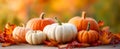 Close-up of assorted pumpkins in white and orange tones surrounded by autumn leaves. Royalty Free Stock Photo