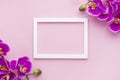 arrangement orchid flowers pink copy space background. High quality photo Royalty Free Stock Photo