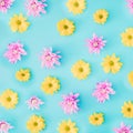 Arrangement pink and white flowers on blue pastel background. Flat lay pattern Royalty Free Stock Photo