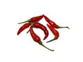 Arrangement of red chili peppers isolated on a white background Royalty Free Stock Photo