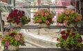 Arrangement of roses in a basket placed in market stall Royalty Free Stock Photo