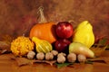 Arrangement of squashes and fruits with dried leaves Royalty Free Stock Photo