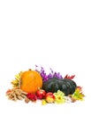 Arrangement of thanksgiving. Pumpkins, apples, wheat, walnuts, of maple leafs and flowers on white background with space for text Royalty Free Stock Photo