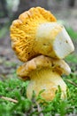 Arrangement of two Chanterelle mushrooms Royalty Free Stock Photo