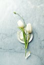 An arrangement of white tulips and dianthus flower bud on gray stone background. Floral decoratin
