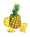 Arrangement with whole and slice pineapple.