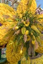 Arrangement of yellow flowers on a vertical wall Royalty Free Stock Photo