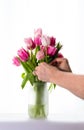 Arranging flowers Royalty Free Stock Photo