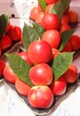 Arrangment of red apples for sale