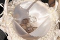 Arras, coins that are used symbolically in a wedding ceremony placed inside a basket. Royalty Free Stock Photo