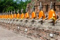 Array of Buddhas in meditation Royalty Free Stock Photo