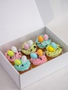 Array of colorful Easter cupcakes in a white box.