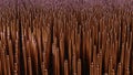 Array of copper nanowires. 3d render illustration Royalty Free Stock Photo
