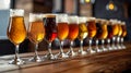 Array of different types of beer in glasses Royalty Free Stock Photo
