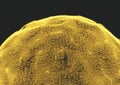 Array with Dynamic Particles. 3D Technology Style. Abstract Background.