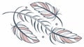 Array of elegant feathers, representing freedom, spirituality, and natural softness, vector design Generative AI Royalty Free Stock Photo