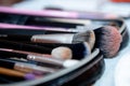 Array of makeup brushes in a variety of styles and shapes on a flat surface Royalty Free Stock Photo