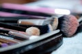 Array of makeup brushes in a variety of styles and shapes on a flat surface