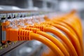 Array of orange network cables connected to a rack-mounted switch demonstrating organized data center infrastructure and high- Royalty Free Stock Photo
