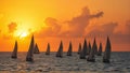An array of sailboats peacefully sailing as the sun sets, casting warm hues across the water and sky. Royalty Free Stock Photo