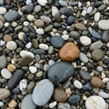 Array of smooth pebbles covers the surface showcasing a variety of shapes Royalty Free Stock Photo