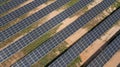 Array of Solar Panels generates Renewable Electric energy