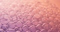 An array of translucent soap bubbles forms a delicate network, creating a honeycomb Royalty Free Stock Photo
