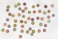 Array of vibrant colored ornamental buttons artfully arranged against a white background Royalty Free Stock Photo