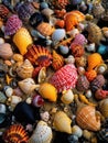 An array of vibrant shells lay tered along the seabed.. AI generation