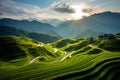 Panoramic Beauty of Longji Rice Terraces