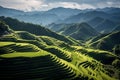 Panoramic Beauty of Longji Rice Terraces