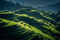 Panoramic Beauty of Longji Rice Terraces