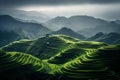 Panoramic Beauty of Longji Rice Terraces